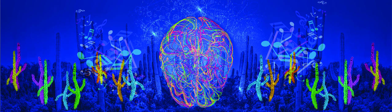 RetroMix of TSC Conferences & Interviews | The Science of Consciousness ...