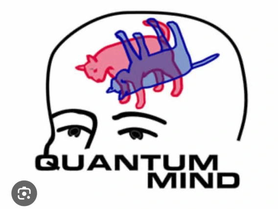 Quantum Mind - Cat in the Box - Hameroff