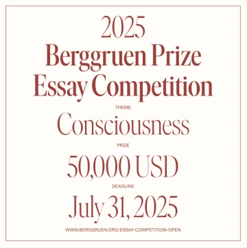 Berggruen Prize Essay Competition 