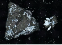Bennu
