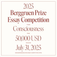 Berggruen Prize Essay Competition 