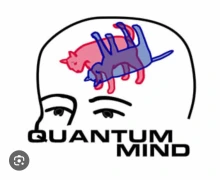 Quantum Mind - Cat in the Box - Hameroff